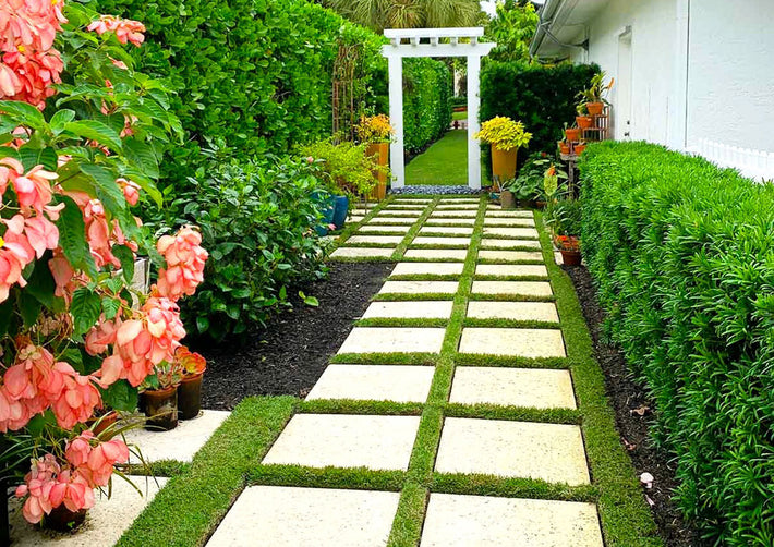 Custom landscape layout created to enhance the function and beauty of a Miami yard
