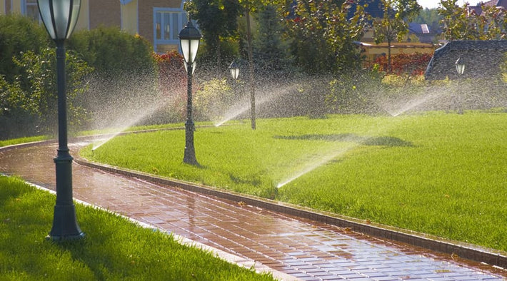 Eco-friendly irrigation system designed to conserve water in Miami landscapes