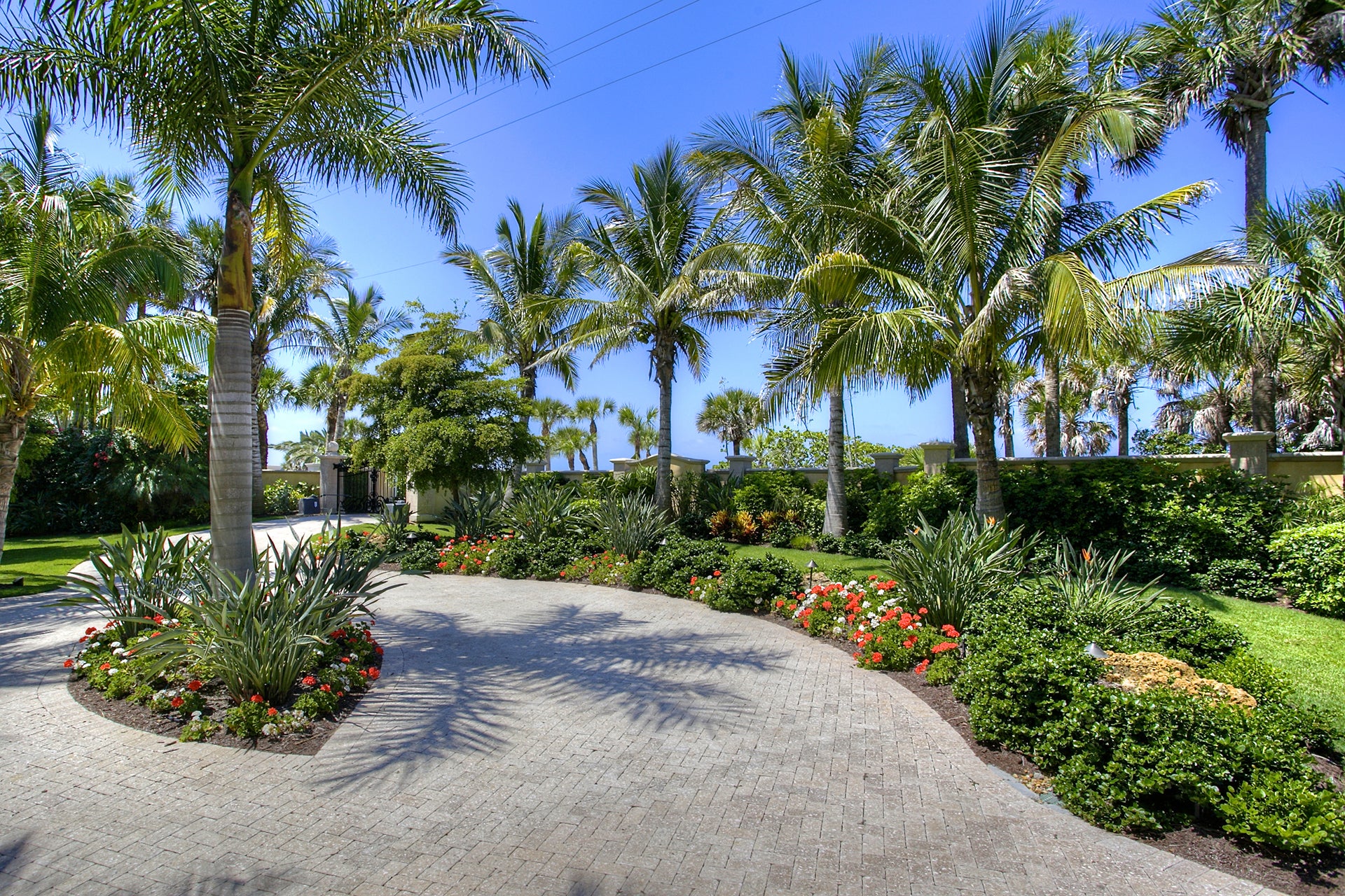 Custom landscape design service for a modern Miami home