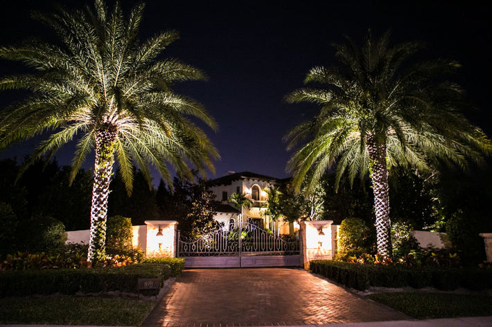 Residential landscape lighting system designed and installed in Miami, Florida
