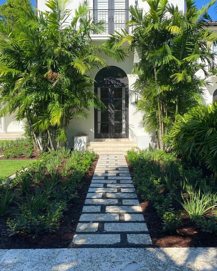 Tropical-themed landscape design with native plants and palms in Miami